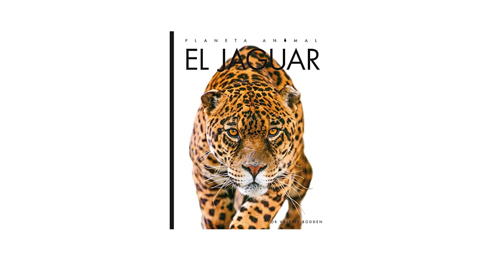 (未使用･未開封品)In Search of the Jaguar [DVD] 未使用・未開封品)In Search of the Jaguar [DVD]